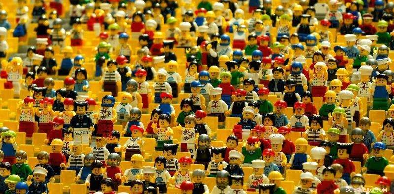 Study Finds Sexism Drives 16% Pay Gap for Women in New Zealand