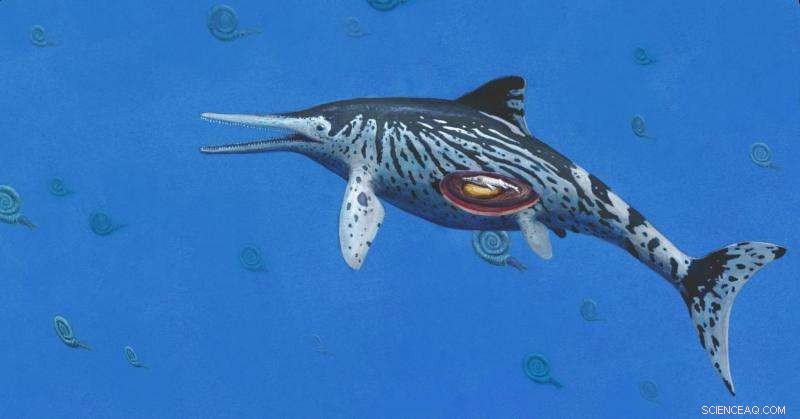 Newly Discovered Largest Ichthyosaurus Found Pregnant, Unveils Insights into Ancient Marine Reptiles
