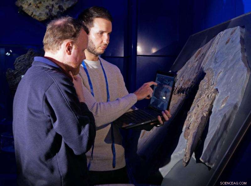 Newly Discovered Largest Ichthyosaurus Found Pregnant, Unveils Insights into Ancient Marine Reptiles