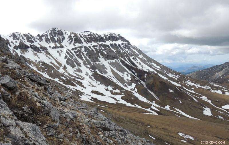 Ocean Alkalization Drives Evolution of Bones and Shells