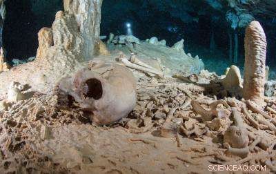 Evidence of Late Pleistocene Human Settlement in the Americas: Insights from Chan Hol Cave Findings