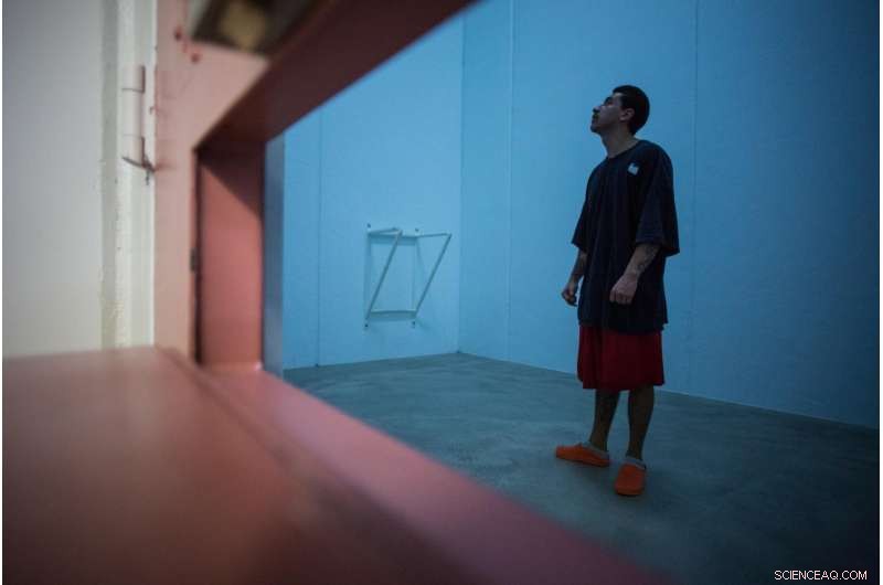 Nature Images Calm Prisoners, Reducing Tension and Anger