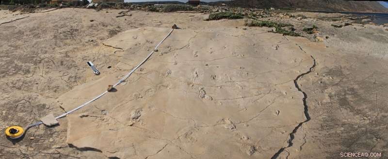 Crete Fossil Footprints Prompt Rethink of Human Evolution