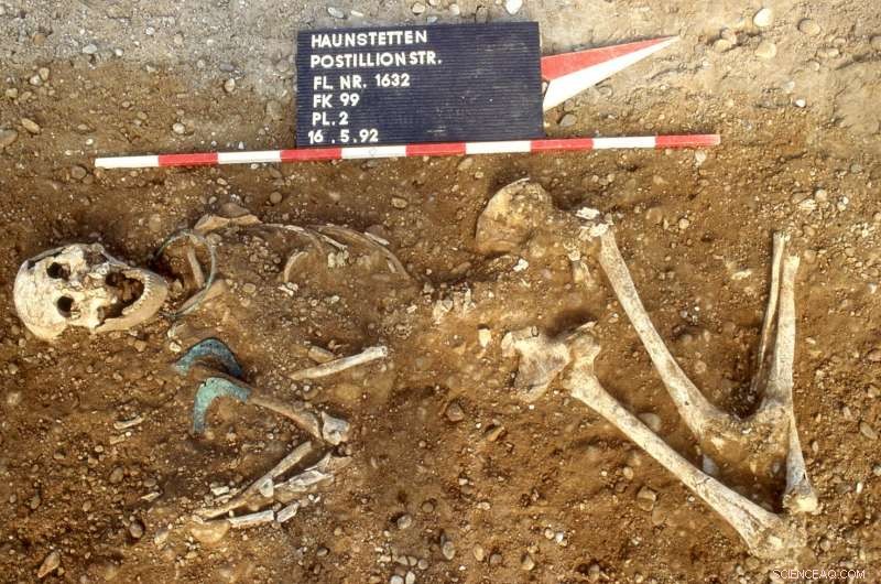 Women as Catalysts of Cultural Exchange in the Stone and Bronze Ages