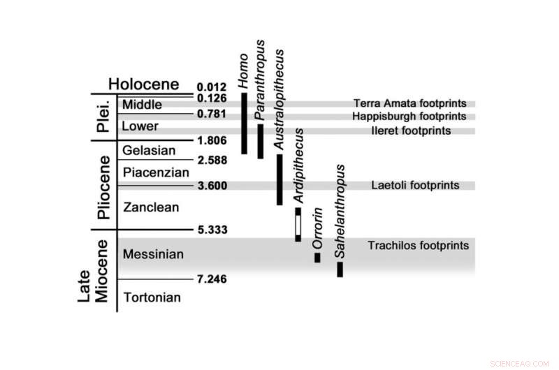 New Crete Footprint Discovery Suggests Human‑Like Ancestors Roamed 6 Million Years Ago