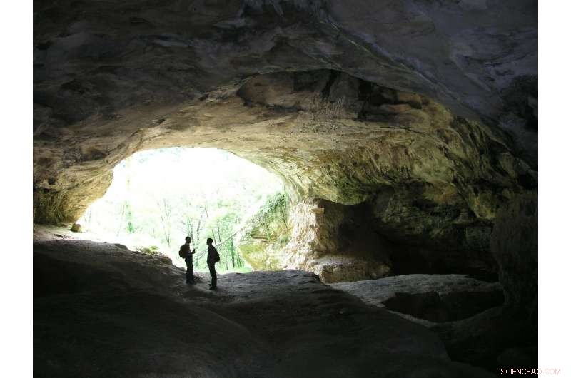 Vindija Cave Neanderthal Remains Re-dated: Surprising Evidence of Greater Age