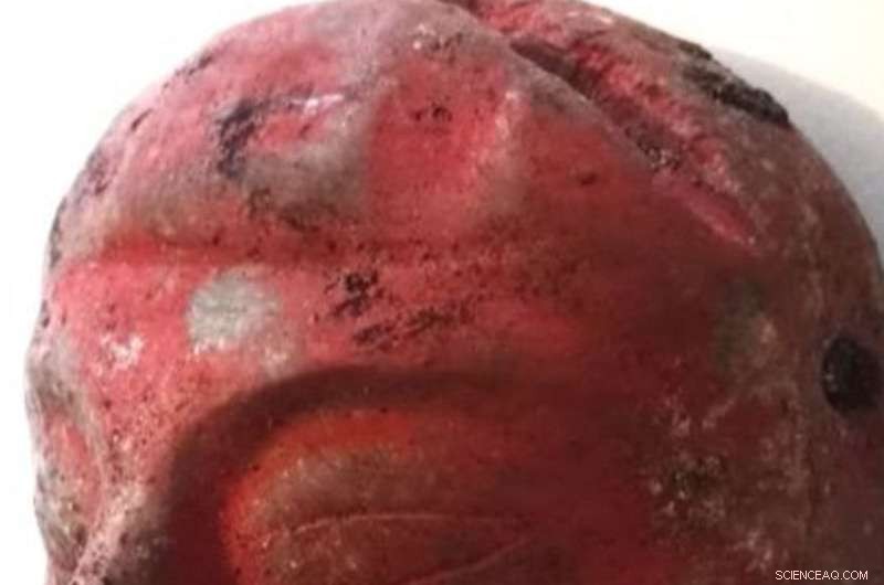 Guatemala s Waka  City Uncovers Earliest Maya Royal Tomb