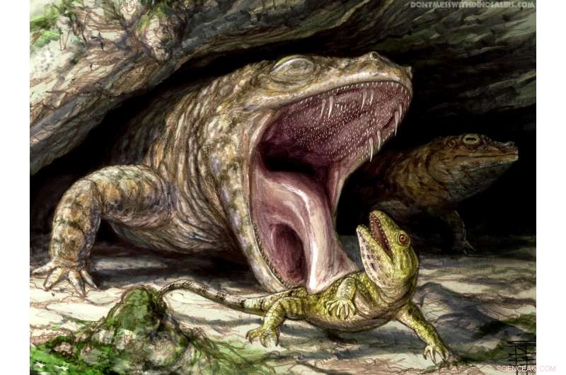 Ancient Amphibian Cacops: A Jaw Packed with Teeth and Fangs