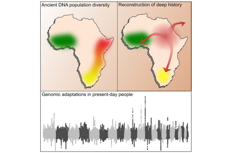 Ancient DNA from Sub-Saharan Africa Reveals 8,000 Years of Human Migration