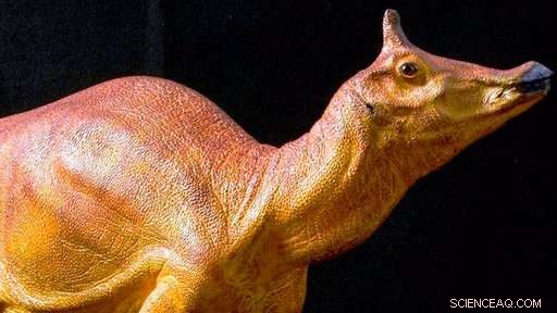 California Names Augustynolophus morrisi as Official State Dinosaur After 66 Million Years