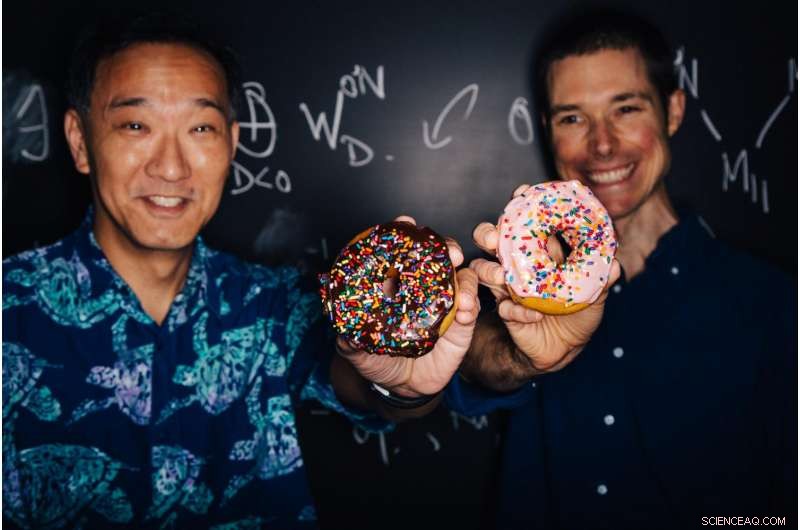 Moonshine Illuminates Elliptic Curves: Unveiling the Geometry of Mathematical Doughnuts