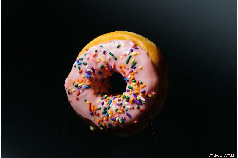 Moonshine Illuminates Elliptic Curves: Unveiling the Geometry of Mathematical Doughnuts