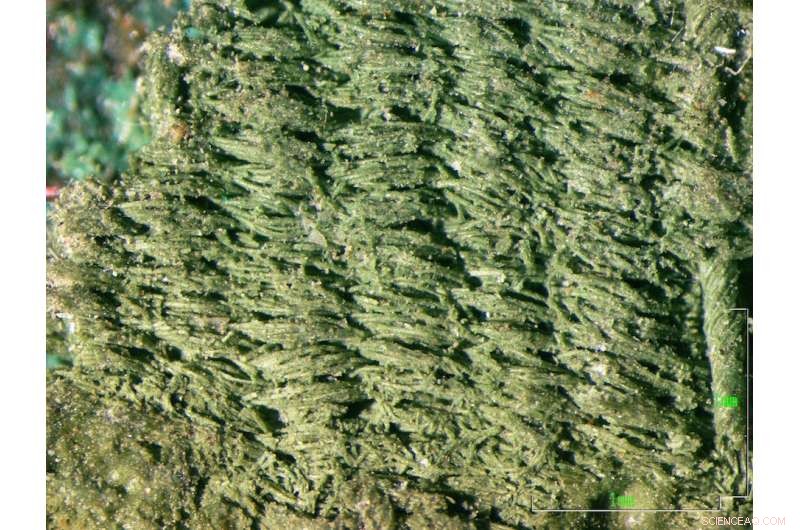 Ancient Mediterranean Textiles Unveil 1st Millennium BC Fabric Variations