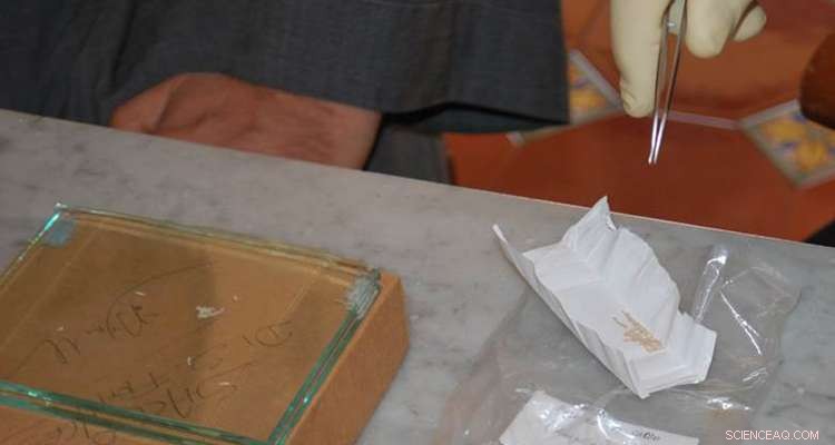 Textile Fragment Confirms 13th-Century Saint Francis of Assisi Legend