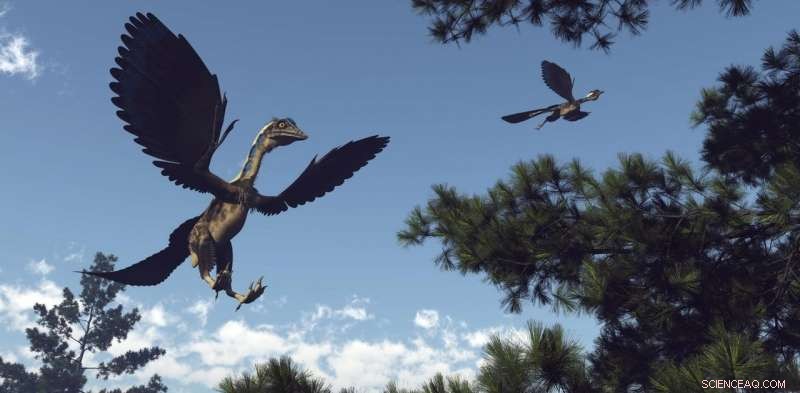 Scientists Reveal How Dinosaurs Developed Beaks and Transformed into Modern Birds
