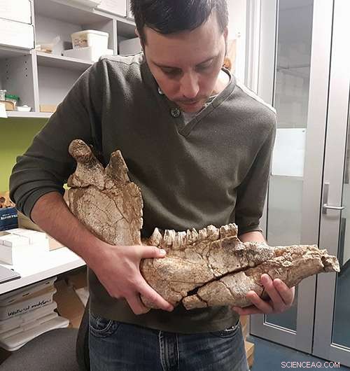 Australia s Massive Ice Age Marsupial, Diprotodon, Showed Remarkable Seasonal Migration