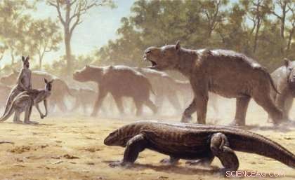Australia s Massive Ice Age Marsupial, Diprotodon, Showed Remarkable Seasonal Migration
