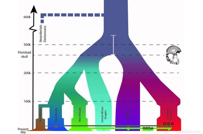 New Genomic Study Confirms Modern Humans Originated Over 300,000 Years Ago