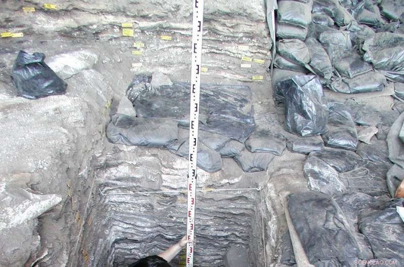 New Genomic Study Confirms Modern Humans Originated Over 300,000 Years Ago