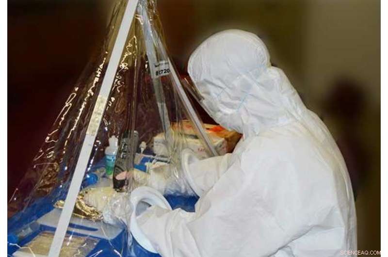 New Genomic Study Confirms Modern Humans Originated Over 300,000 Years Ago