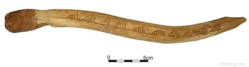 Ornamented Mesolithic Tool Reveals Evidence of Long-Distance Trade Networks