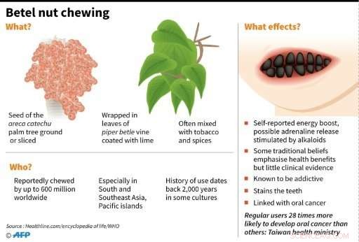 Taiwan’s Initiative to Curb Betel Nut Addiction by Replacing Cultivation with Alternative Crops