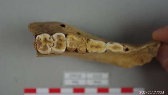 How the Romans Sustained Armies Thousands of Miles Away