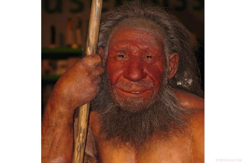 How Neanderthal DNA Influences Modern Humans: From Hair Traits to Sleep Patterns