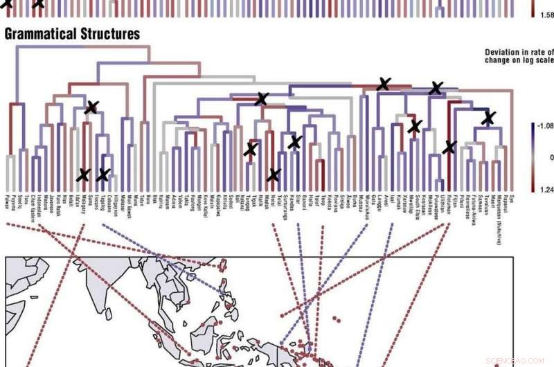 How Evolutionary Biology Illuminates the Science of Language