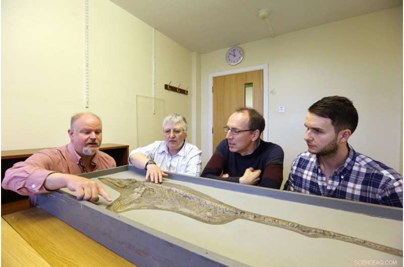 Protoichthyosaurus applebyi: New Ichthyosaur Species Discovered in Nottingham Collection