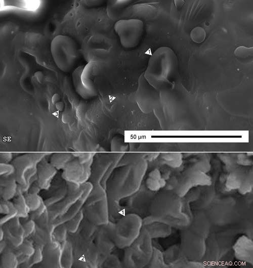 New Study Urges Caution on Dinosaur Blood Claims: Fossil Soft Tissue May Be Abiotic Structures
