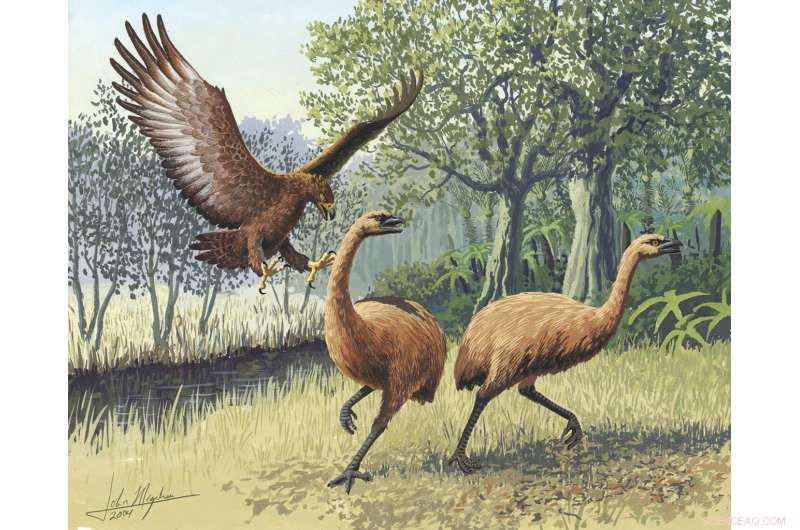 Scientists Reveal Genetic Connection Among Ancient Giant Flightless Birds