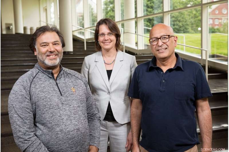 New Study Reveals Diversity of Views Among White Working-Class Americans on Identity, Race, and Immigration