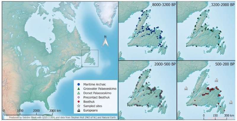 DNA evidence confirms multiple distinct cultural groups settled Newfoundland over millennia