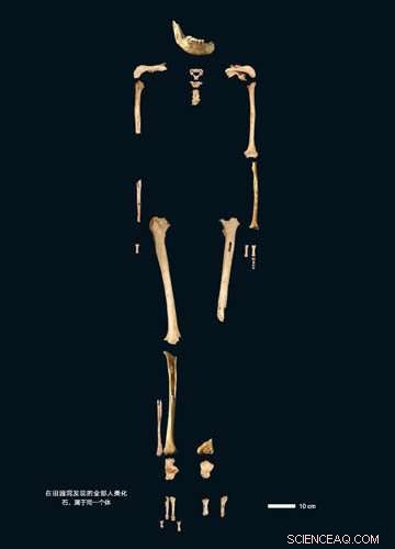 40,000-Year-Old Chinese Man’s Genome Sheds Light on Asia’s Complex Genetic History