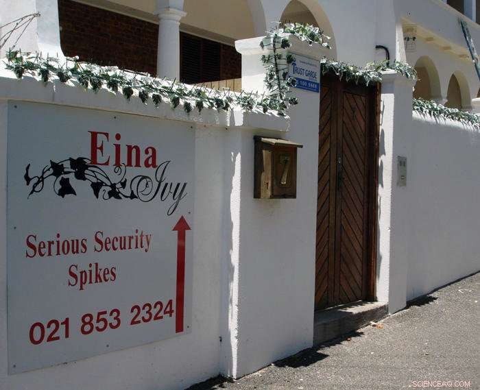 Researchers Examine How Safety Concerns and Anxiety Shape Modern Society