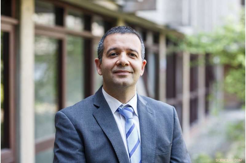 Balkan Lessons: Proven Strategies for Conflict Resolution Worldwide