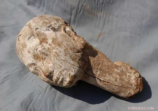 Egyptian Archaeologists Discover Fragment of 4,000-Year-Old Statue