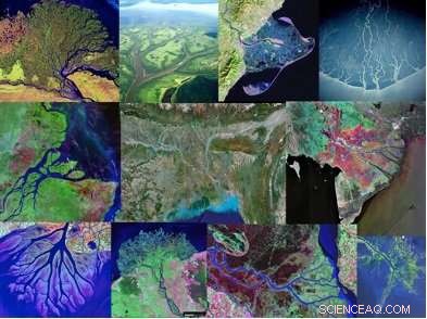 Scientists Uncover Order in the World’s Complex River Delta Patterns