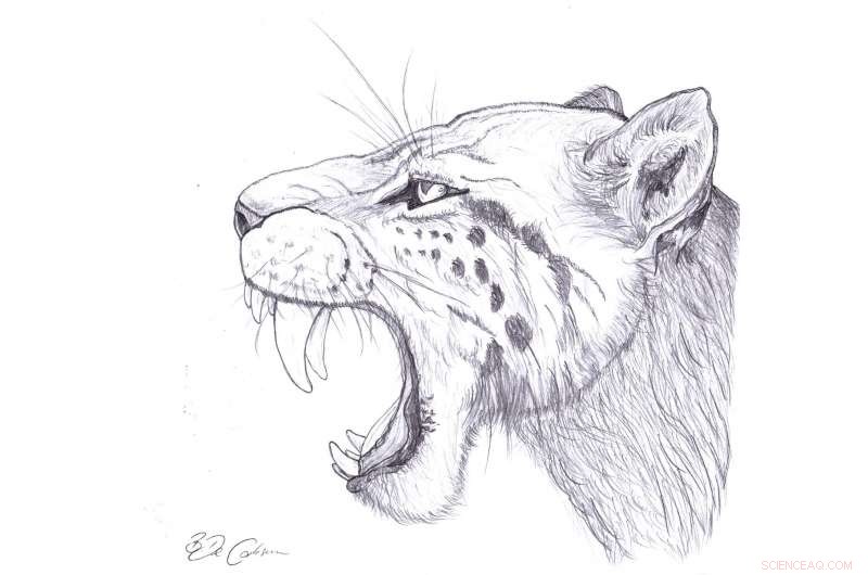 Ancient DNA Reveals New Insights into the History of Saber-Toothed Cats