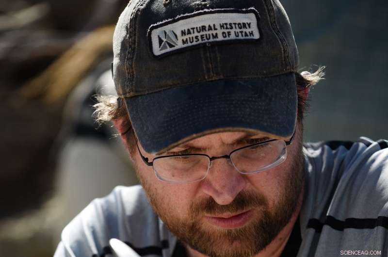 Discover the Most Complete Tyrannosaur Skeleton Unearthed in the Southwest