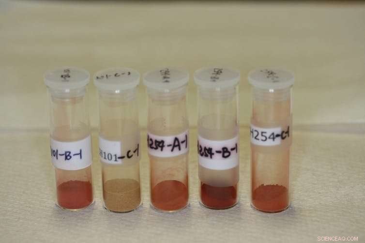 Mapping Indigenous Australian Ochre Origins with Microbial DNA Fingerprinting