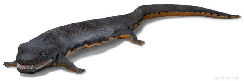 Discover  Tiny : The Ancient Lizard Bridging Fish and Humans