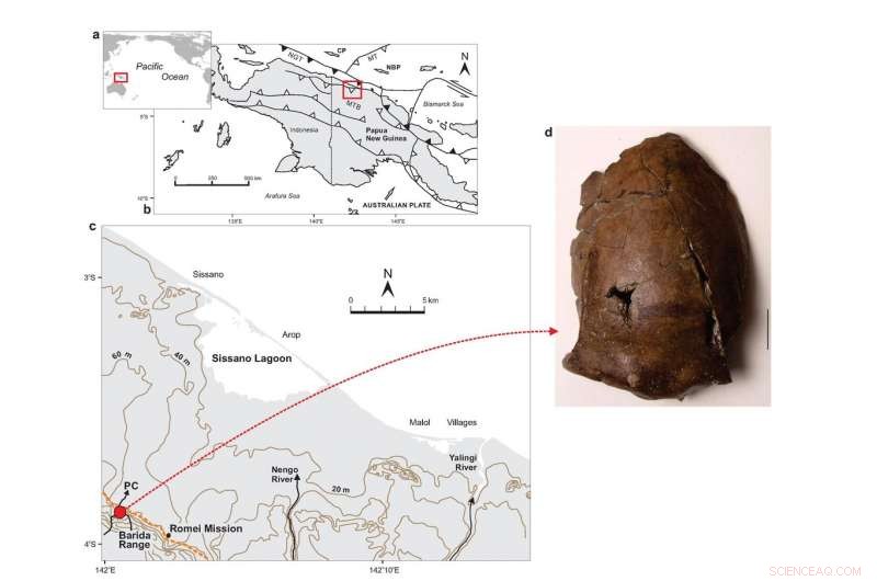 Aitape Skull Found: Possible First Recorded Tsunami Victim from 6,000 Years Ago