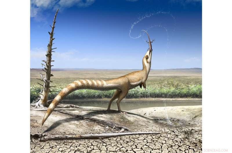 Feathered Dinosaur Used Bandit-Style Camouflage to Evade Predators