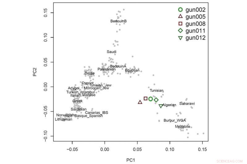 DNA Study Confirms North African Origins of the Guanches