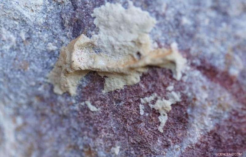 High-Tech Archaeology: Scientists Uncover Ancient Secrets