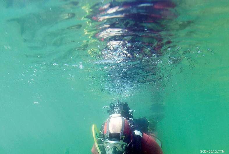 Safeguarding the Sutz‑Lattrigen Neolithic Site: Three Proven Protection Strategies