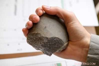 Scientists Probe the Origins of Human Information Sharing