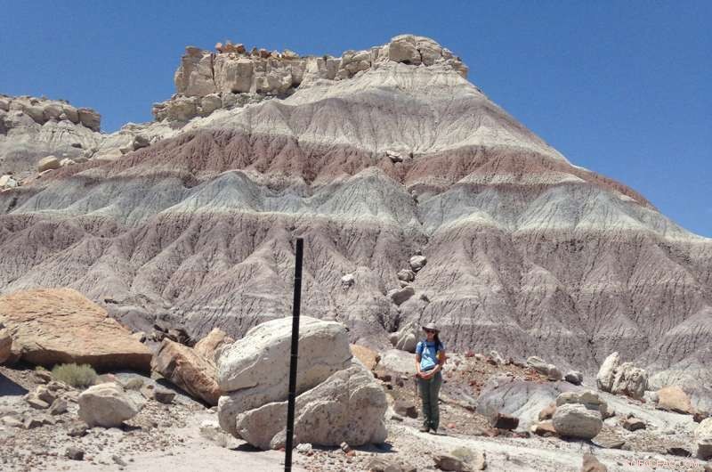 New Research Illuminates Extinction Drivers of the Late Triassic